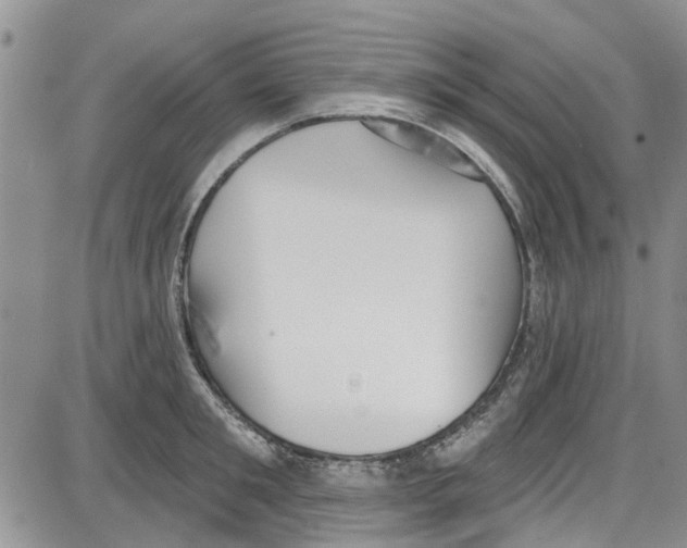 X0000087630901200705311325