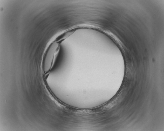 X0000087630902200705311325