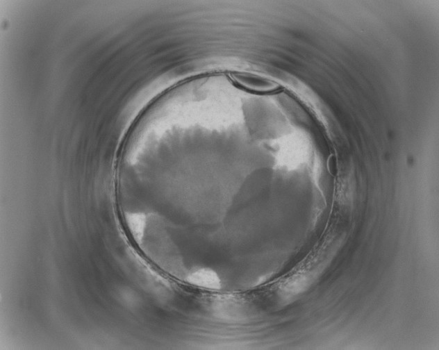 X0000087630903200705311325