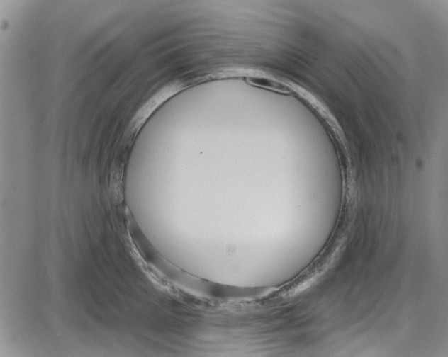 X0000087630905200705311325