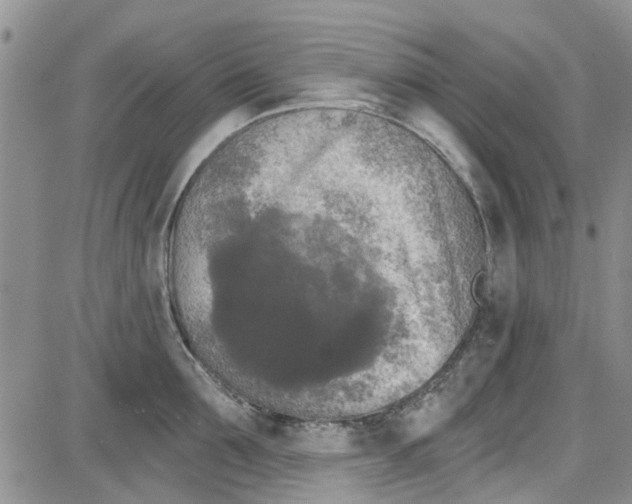 X0000087630907200705311325