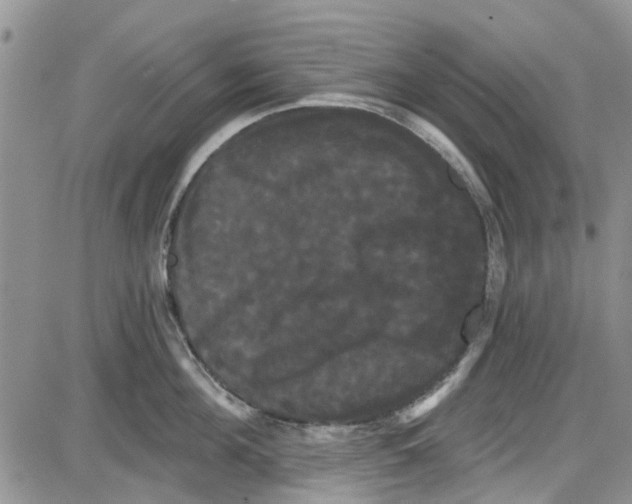 X0000087630908200705311325