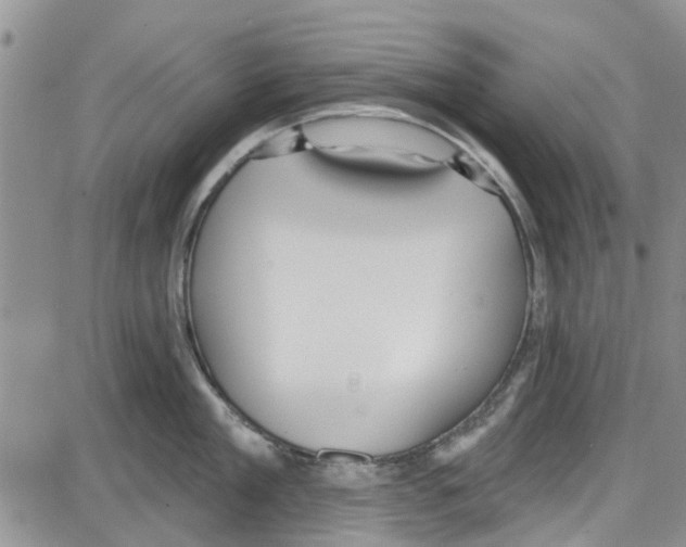 X0000087630909200705311325