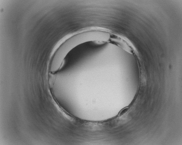 X0000087630910200705311325