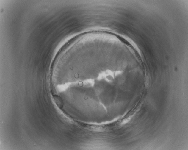 X0000087630911200705311325