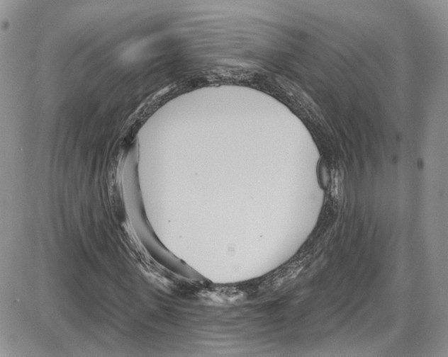 X0000087630915200705311325