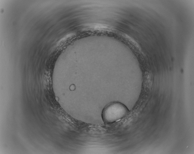 X0000087630918200705311325