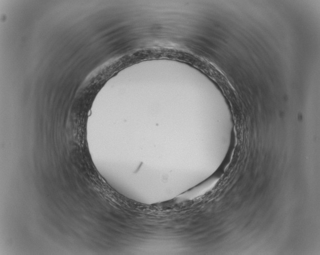 X0000087630919200705311325