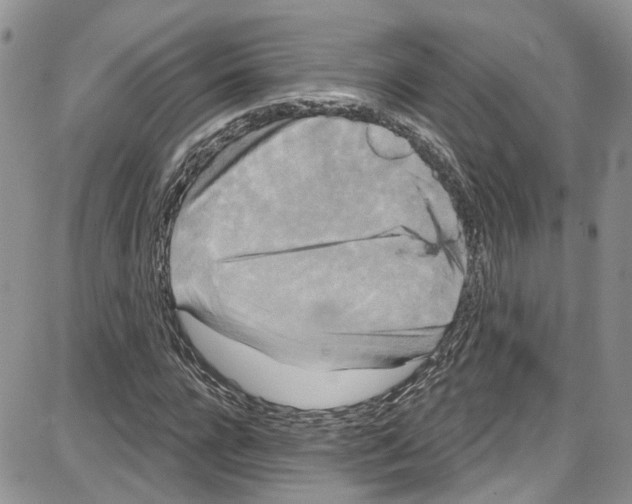 X0000087630920200705311325