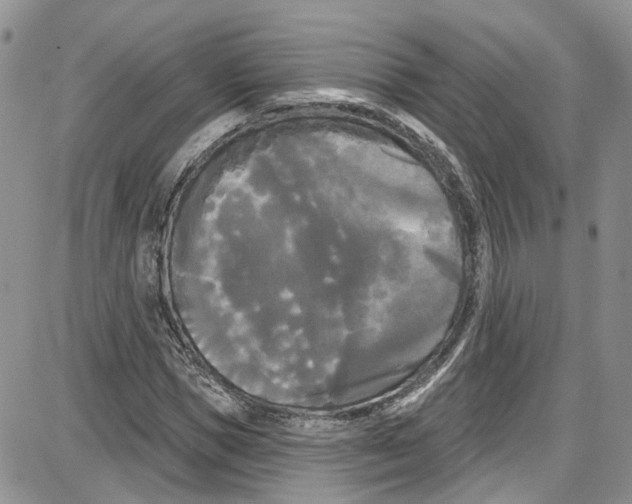 X0000087630921200705311325