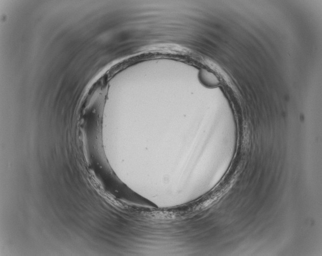 X0000087630923200705311325