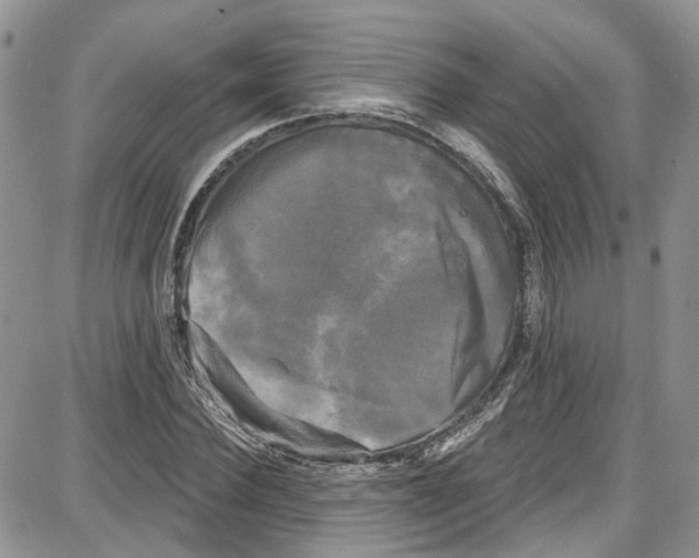 X0000087630924200705311325