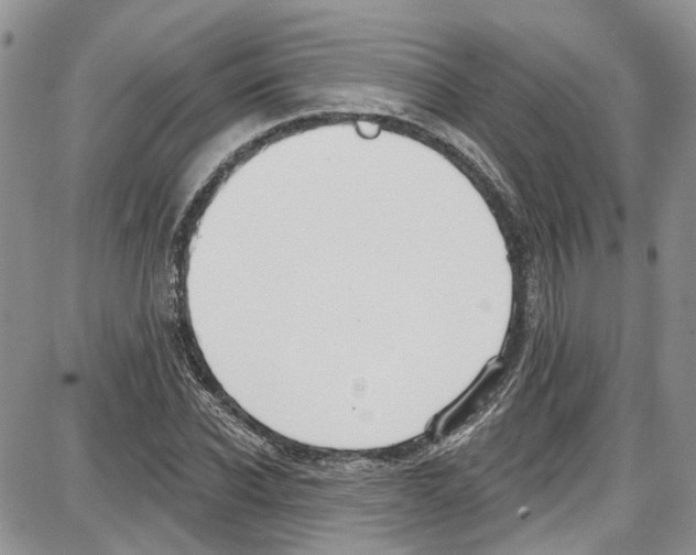 X0000087630926200705311325