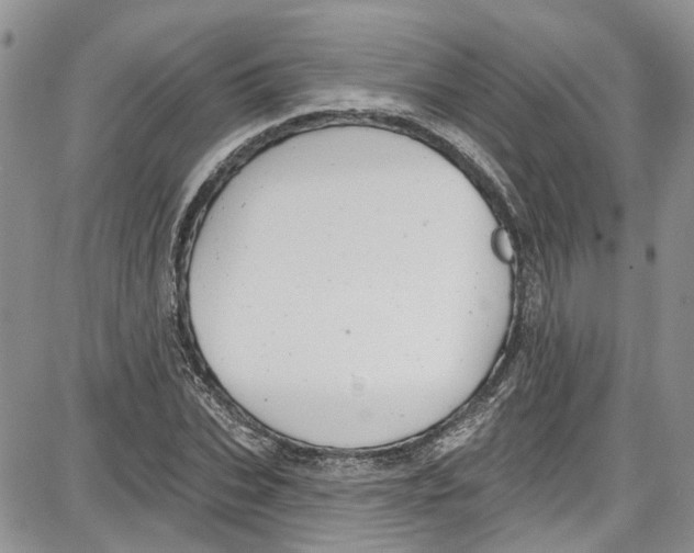 X0000087630927200705311325