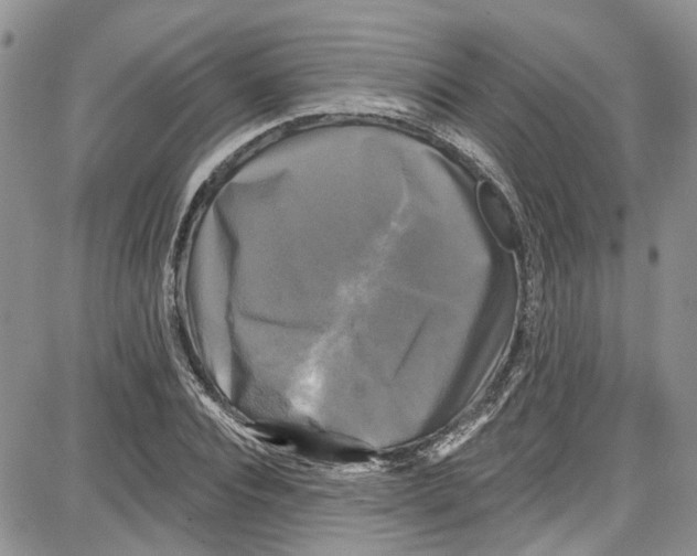 X0000087630928200705311325