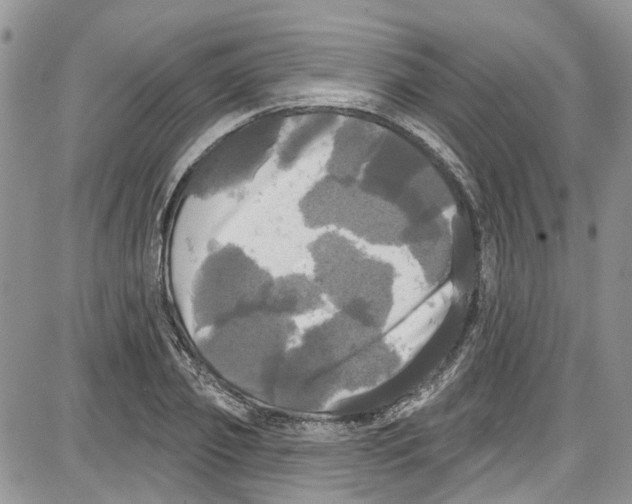 X0000087630933200705311325