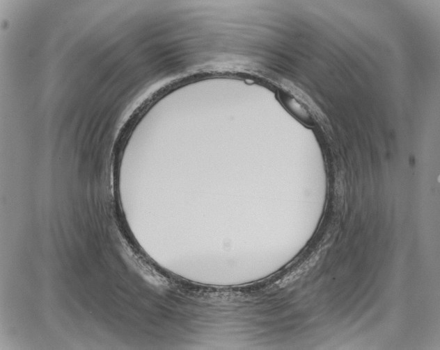 X0000087630934200705311325