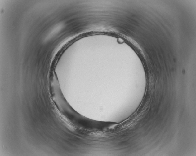 X0000087630935200705311325