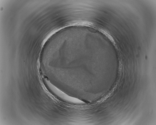 X0000087630936200705311325