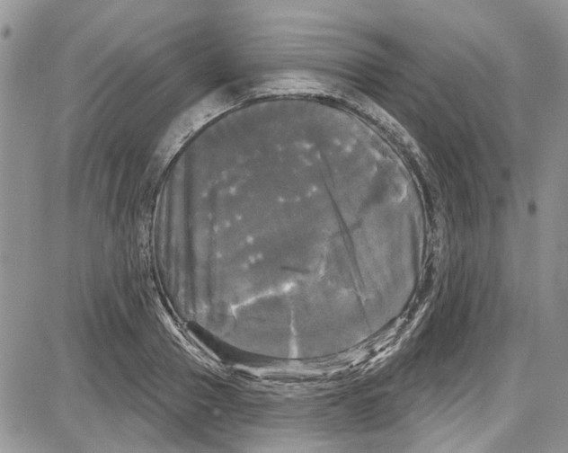 X0000087630937200705311325