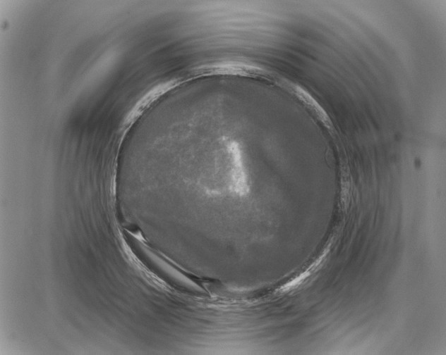 X0000087630938200705311325