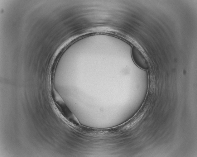 X0000087630939200705311325