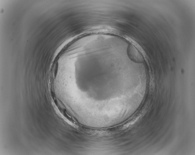 X0000087630941200705311325