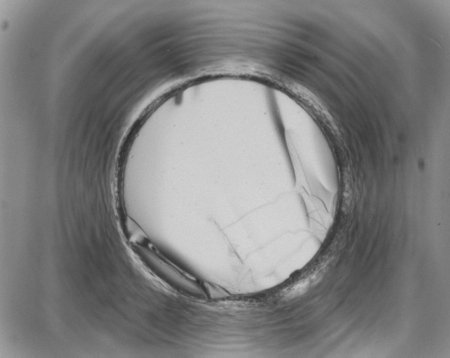 X0000087630942200705311325