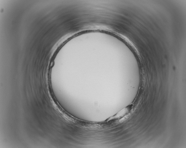 X0000087630943200705311325