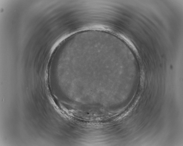 X0000087630944200705311325