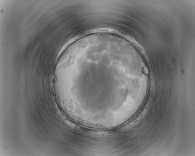 X0000087630945200705311325