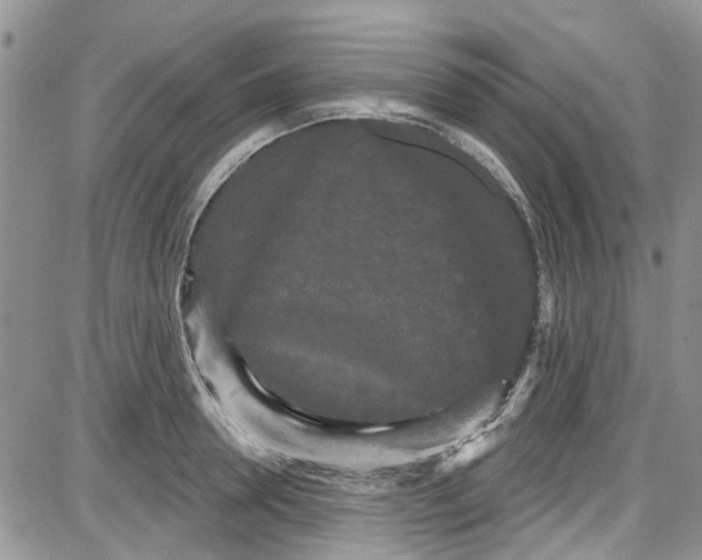 X0000087630946200705311325