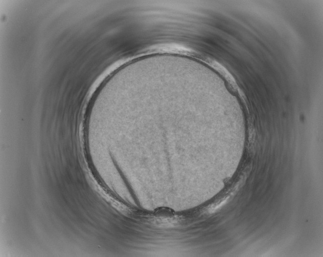 X0000087630947200705311325