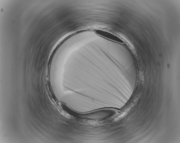 X0000087630948200705311325