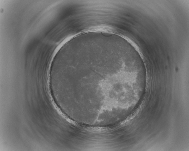 X0000087630949200705311325