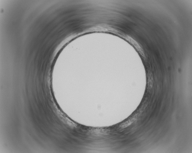 X0000087630950200705311325