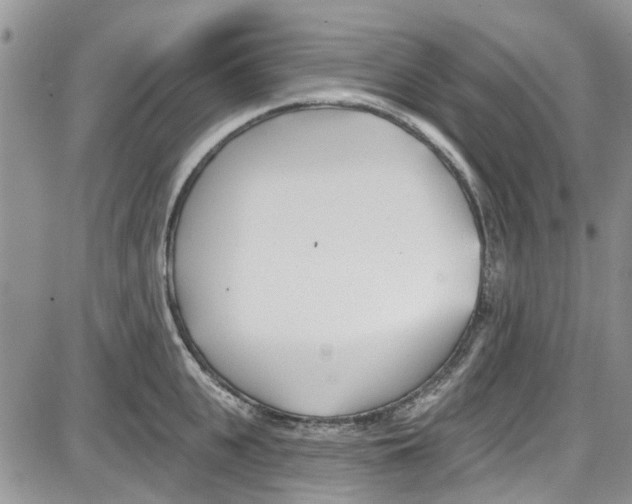 X0000087630951200705311325