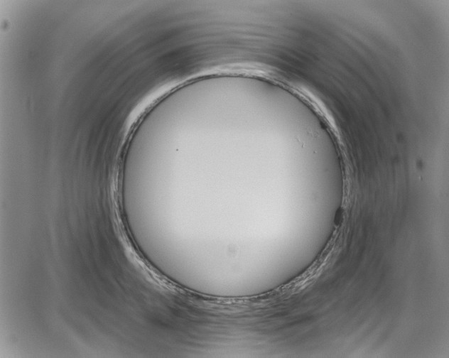 X0000087630952200705311325