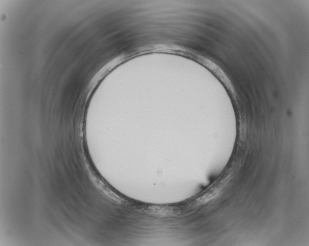 X0000087630954200705311325