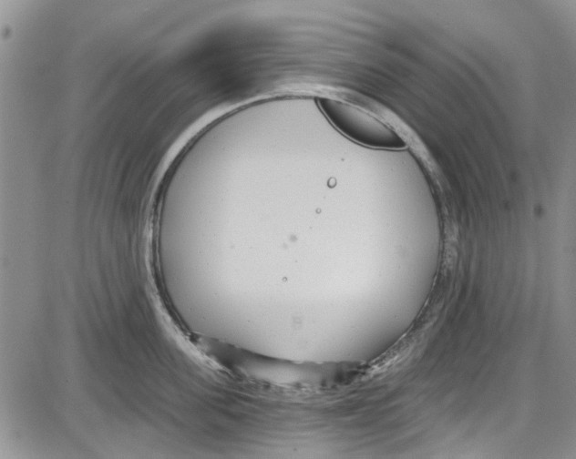 X0000087630955200705311325