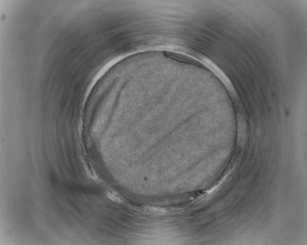 X0000087630956200705311325