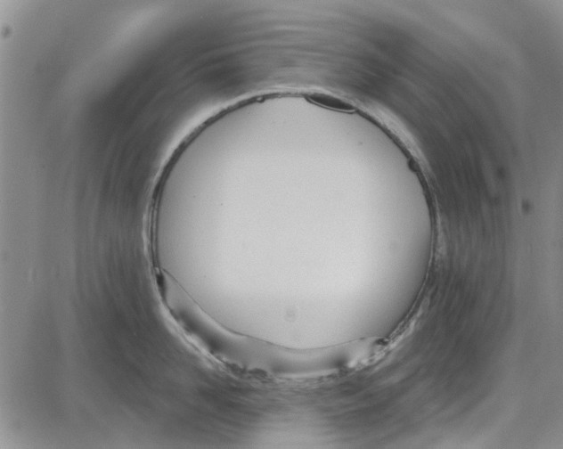 X0000087630958200705311325