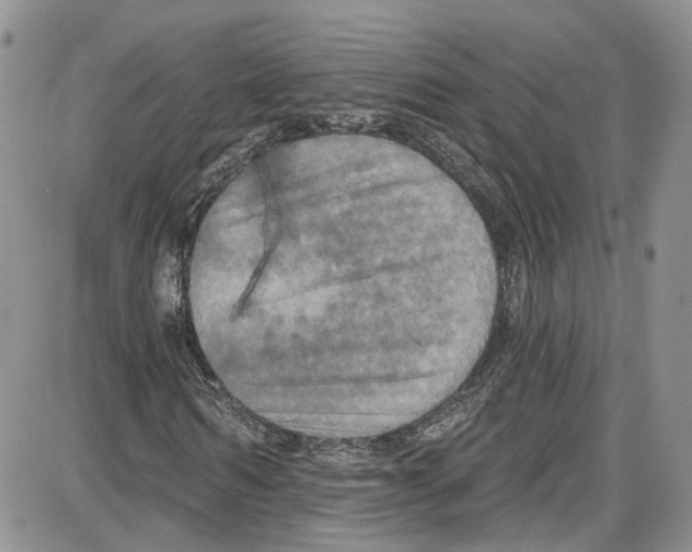 X0000087630962200705311324