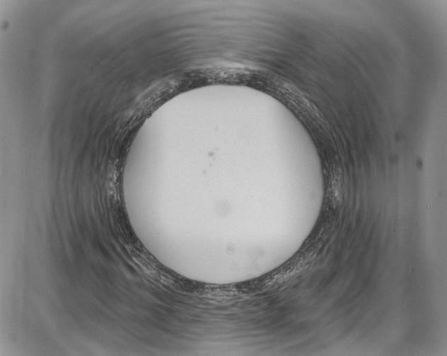 X0000087630964200705311324