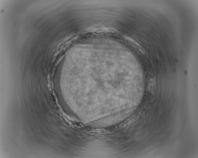 X0000087630966200705311324