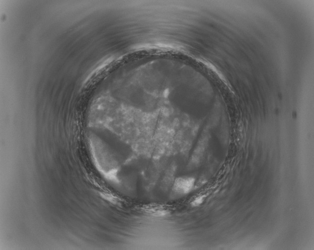 X0000087630967200705311324