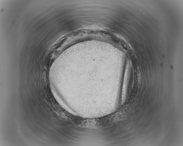 X0000087630968200705311324