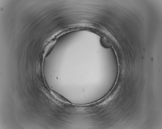 X0000087630969200705311324