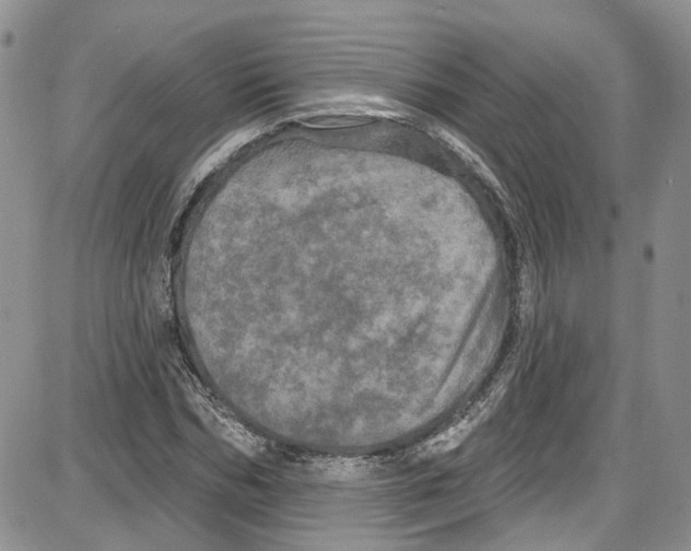 X0000087630970200705311324