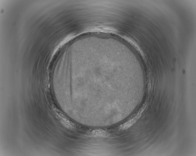 X0000087630974200705311324